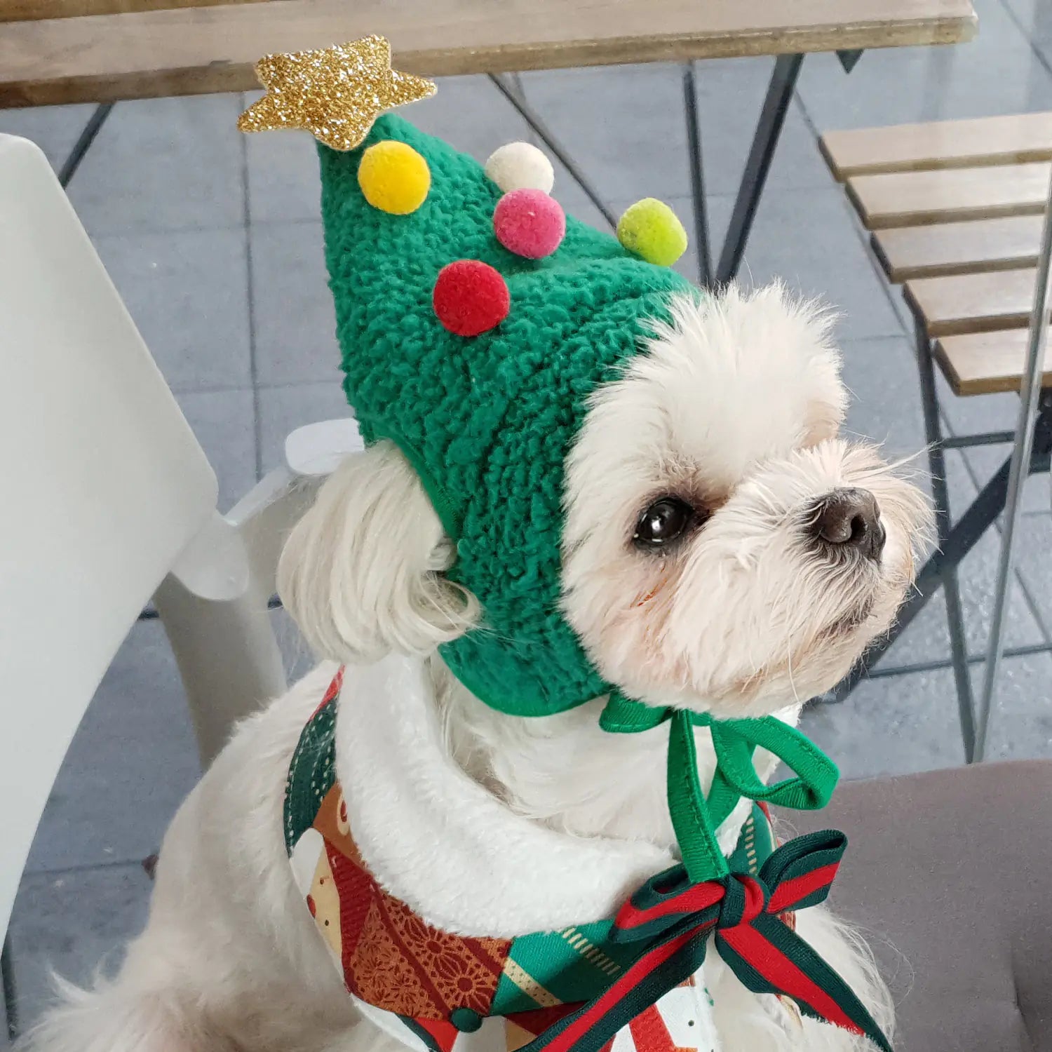 Cute Pet Hats for Dogs and Cats - Korean Christmas Series