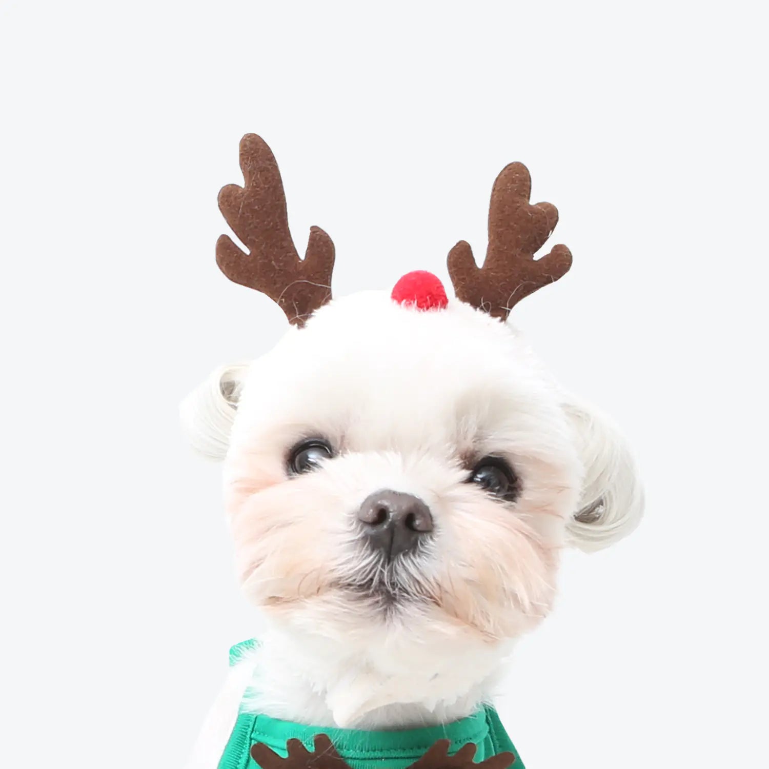 Cute Pet Hats for Dogs and Cats - Korean Christmas Series