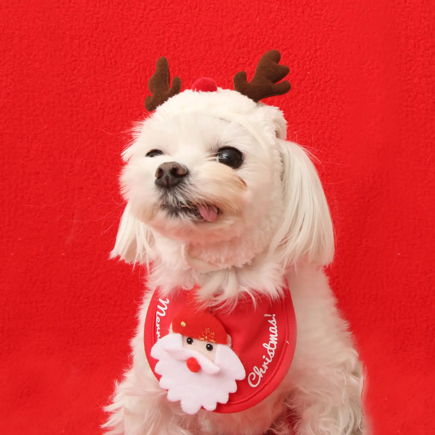 Cute Pet Hats for Dogs and Cats - Korean Christmas Series